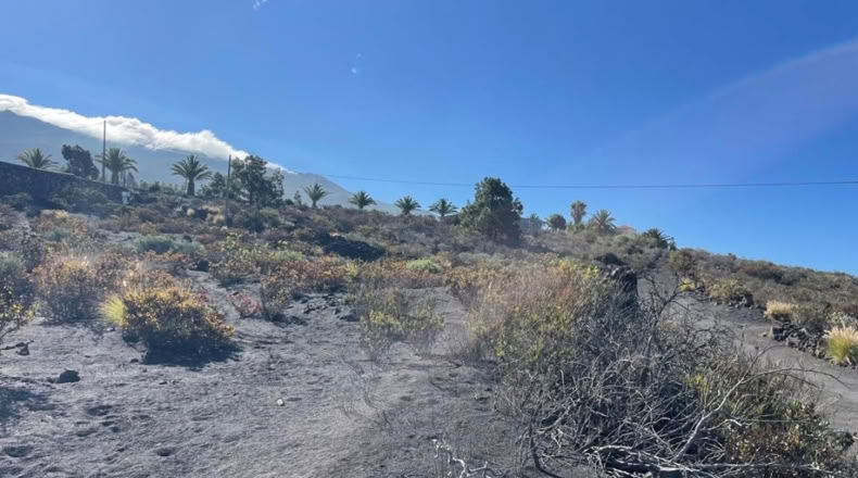 Santa Cruz de Tenerife - Los Llanos de Aridane - 584m2