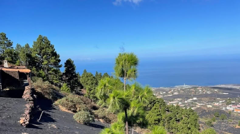 Santa Cruz de Tenerife - Celta - 1271m2