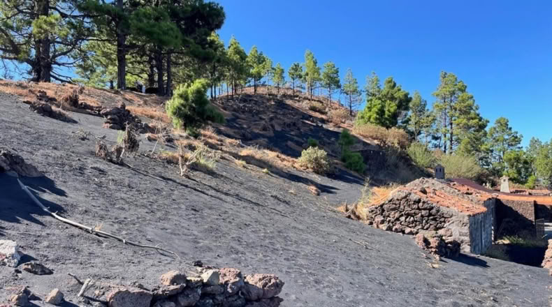 Santa Cruz de Tenerife - Celta - 1271m2