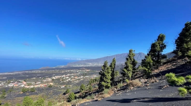 Santa Cruz de Tenerife - Celta - 1271m2