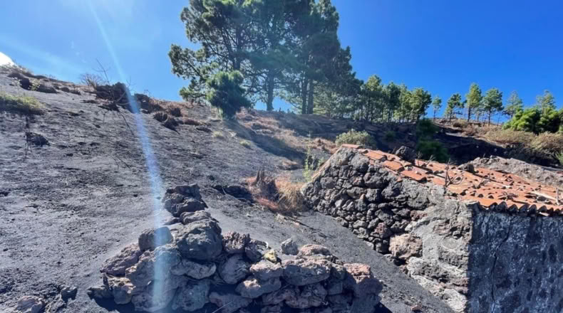 Santa Cruz de Tenerife - Celta - 1271m2