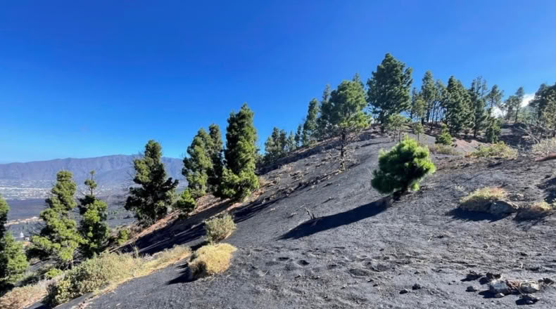 Santa Cruz de Tenerife - Celta - 1271m2