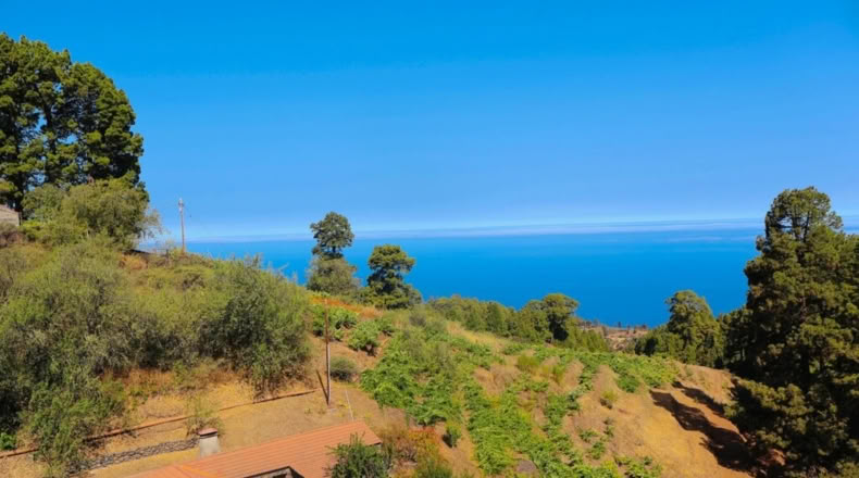 Santa Cruz de Tenerife - Hoya Grande - 11196m2