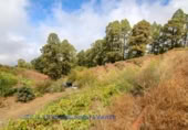 Village house for sale on Jerónimo Hoya Grande, El Pueblo, ref: TR207711 photo