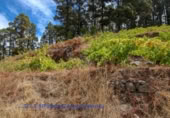 Village house for sale on Jerónimo Hoya Grande, El Pueblo, ref: TR207711 photo