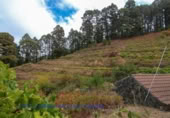 Village house for sale on Jerónimo Hoya Grande, El Pueblo, ref: TR207711 photo
