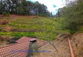 Village house for sale on Jerónimo Hoya Grande, El Pueblo, ref: TR207711 photo