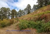 Village house for sale on Jerónimo Hoya Grande, El Pueblo, ref: TR207711 photo