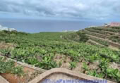 Non-developable land for sale in Lomo Gil ref: TR207708 photo