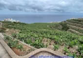 Non-developable land for sale in Lomo Gil ref: TR207708 photo