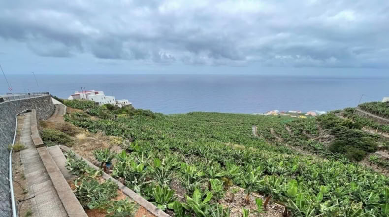 Santa Cruz de Tenerife - Hoya Grande - 472m2