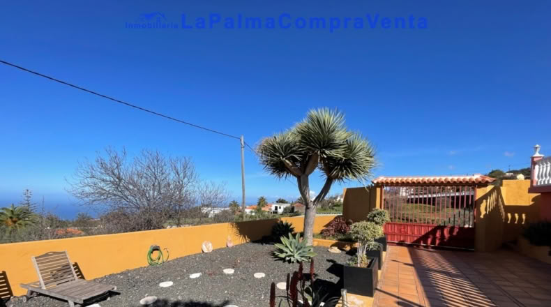 Santa Cruz de Tenerife - Puntagorda - 1812m2