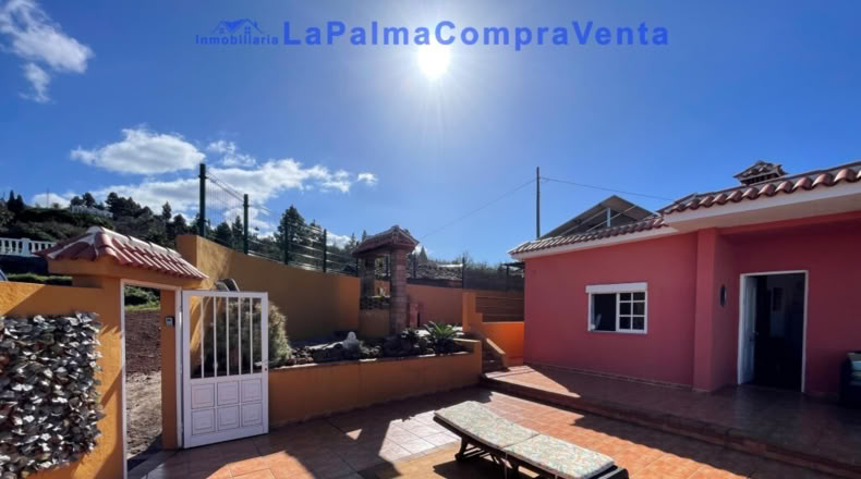 Santa Cruz de Tenerife - Puntagorda - 1812m2