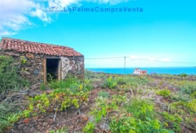 Mazo 1081&nbsp;m² 