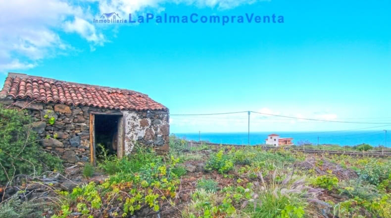 Санта-Крус-де-Тенерифе - Monte de Pueblo - 1081m2