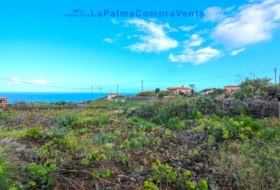 Mazo 1081&nbsp;m² 