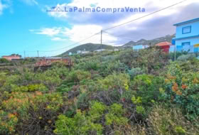 Mazo 1081&nbsp;m² 