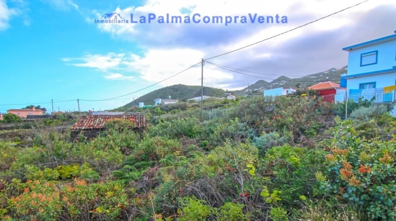 Санта-Крус-де-Тенерифе - Monte de Pueblo - 1081m2