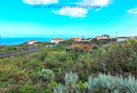 Mazo 1081&nbsp;m² 