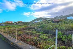 Mazo 1081&nbsp;m² 