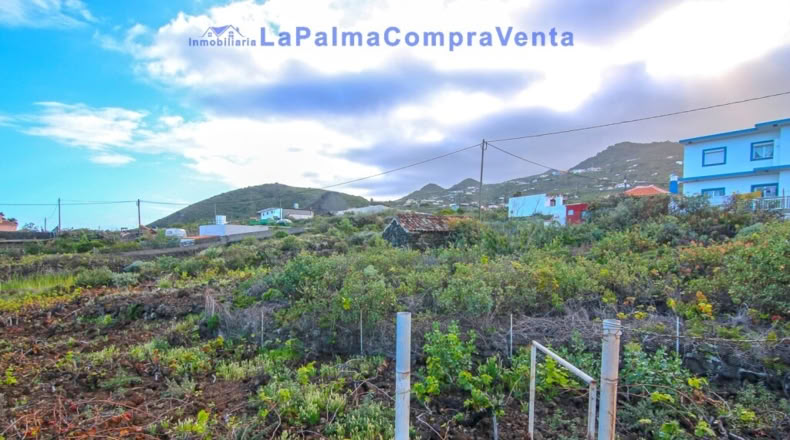 Санта-Крус-де-Тенерифе - Monte de Pueblo - 1081m2