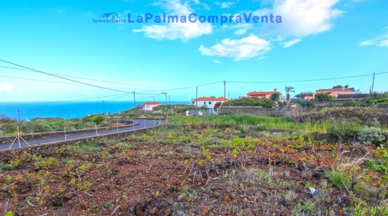 Санта-Крус-де-Тенерифе - Monte de Pueblo - 1081m2