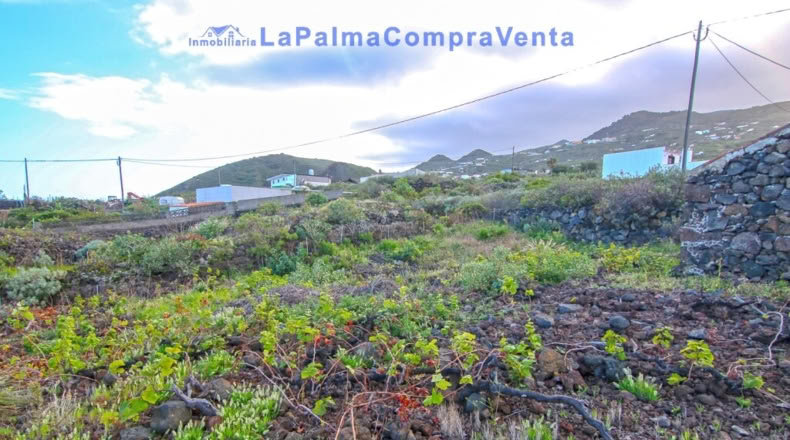 Санта-Крус-де-Тенерифе - Monte de Pueblo - 1081m2