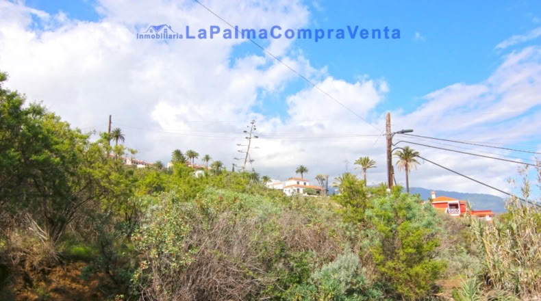 Santa Cruz de Tenerife - San Pedro de Breña Alta - 10433m2
