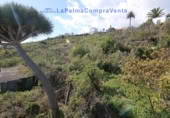 Detached villa with land for sale in La Polvacera ref: TR231641 photo