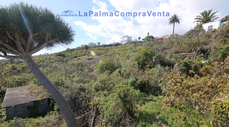 Santa Cruz de Tenerife - San Pedro de Breña Alta - 10433m2