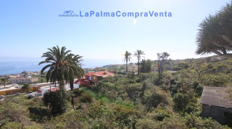 Santa Cruz de Tenerife - San Pedro de Breña Alta - 10433m2