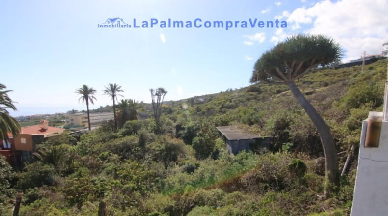 Santa Cruz de Tenerife - San Pedro de Breña Alta - 10433m2