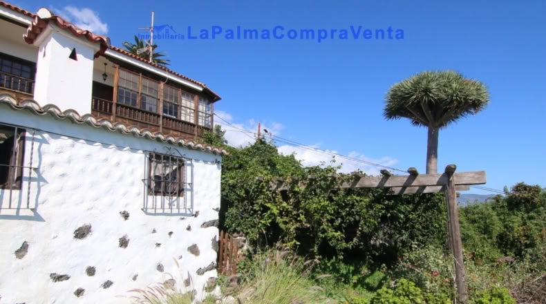 Santa Cruz de Tenerife - San Pedro de Breña Alta - 10433m2
