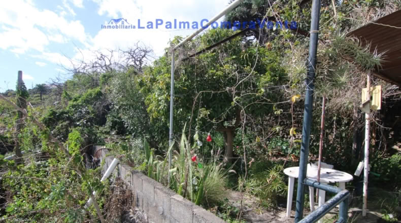 Santa Cruz de Tenerife - San Pedro de Breña Alta - 10433m2