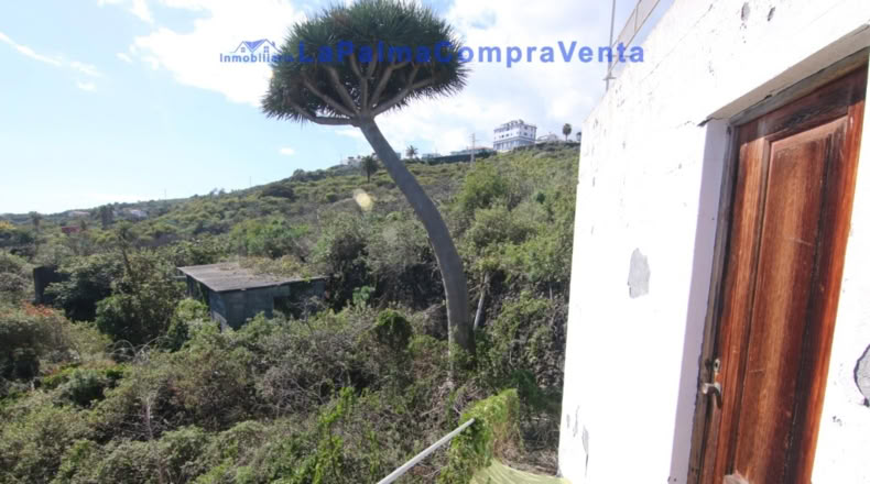 Santa Cruz de Tenerife - San Pedro de Breña Alta - 10433m2