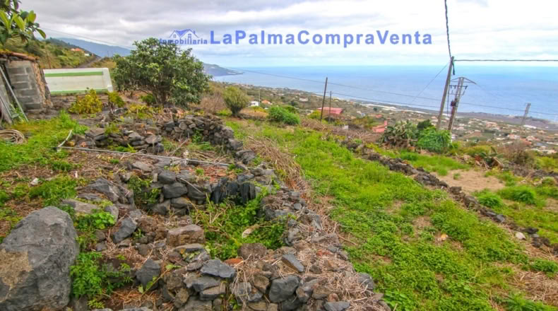 Санта-Крус-де-Тенерифе - Poleal - 2570m2