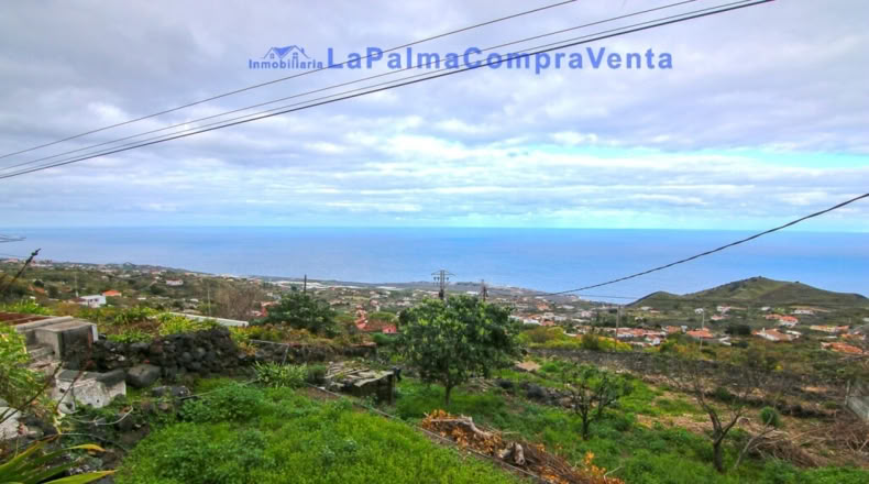 Санта-Крус-де-Тенерифе - Poleal - 2570m2