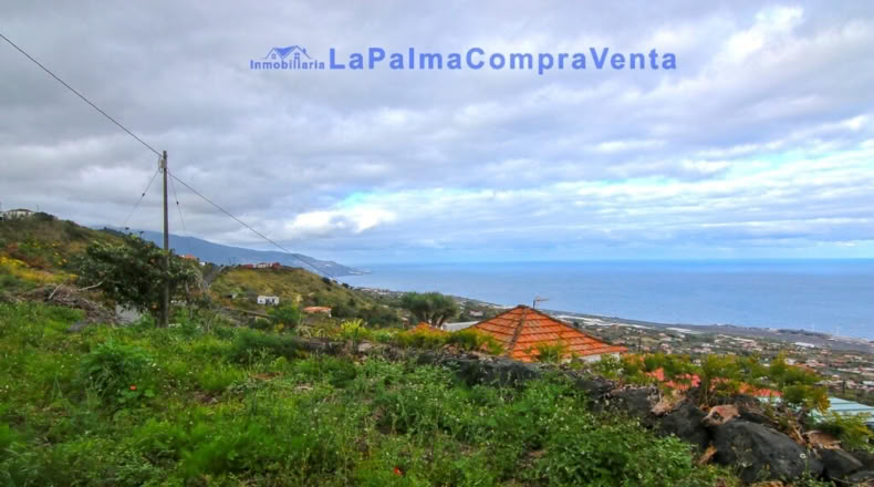 Санта-Крус-де-Тенерифе - Poleal - 2570m2