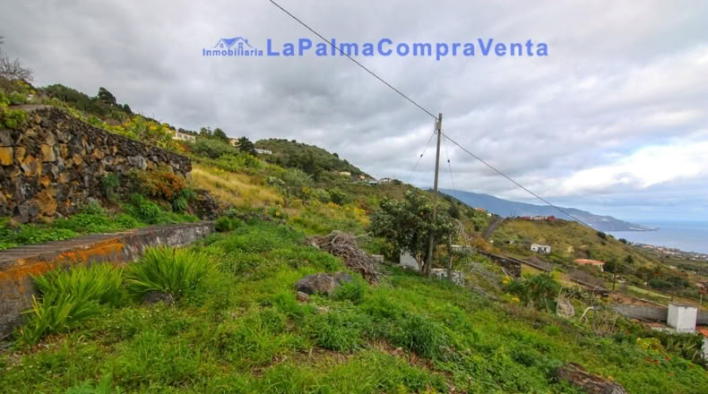 Санта-Крус-де-Тенерифе - Poleal - 2570m2