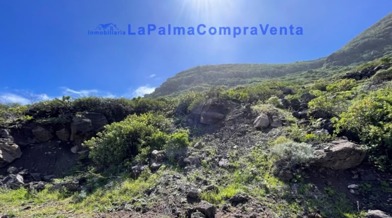 Santa Cruz de Tenerife - Barlovento - 1360m2