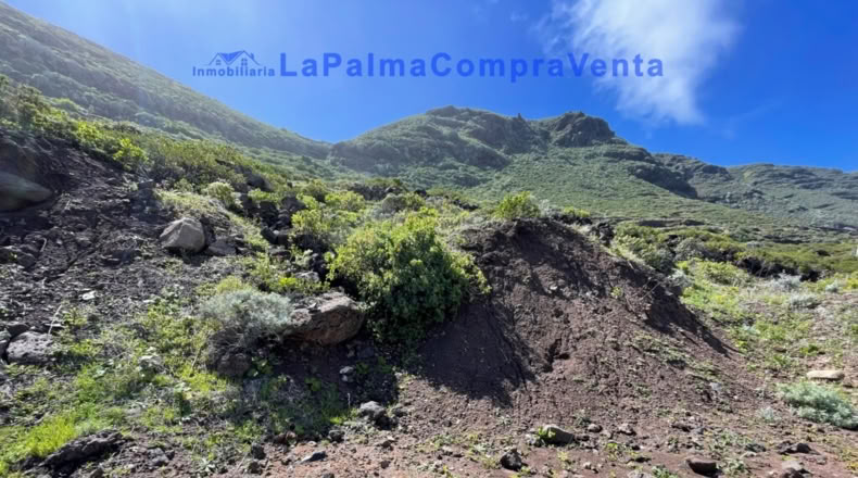 Santa Cruz de Tenerife - Barlovento - 1360m2