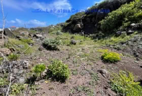 Barlovento 1360&nbsp;m² 