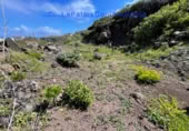 Parcel·la urbanitzable en venda a Barlovento ref.: TR232258 foto