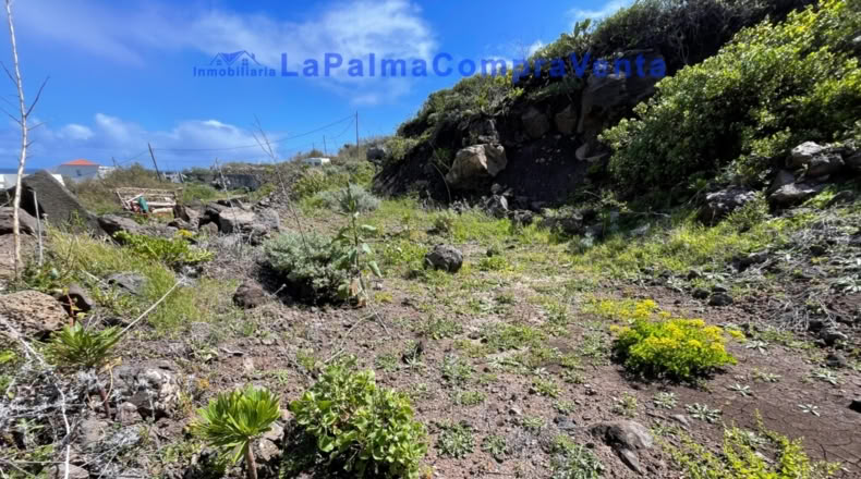 Santa Cruz de Tenerife - Barlovento - 1360m2