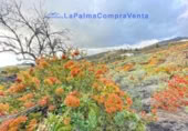 Casa de pueblo en venta en Los Llanos de Aridane ref: TR233363 foto