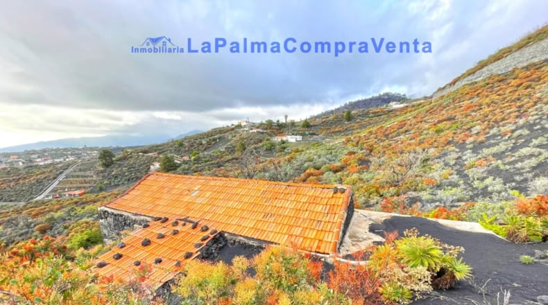 Santa Cruz de Tenerife - Los Llanos de Aridane - 16624m2