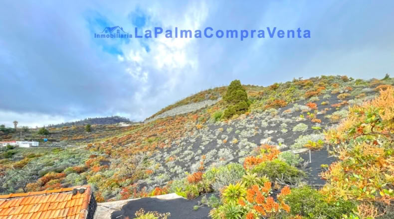 Santa Cruz de Tenerife - Los Llanos de Aridane - 16624m2