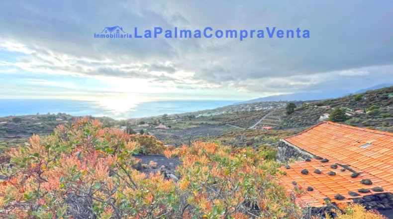 Santa Cruz de Tenerife - Los Llanos de Aridane - 16624m2