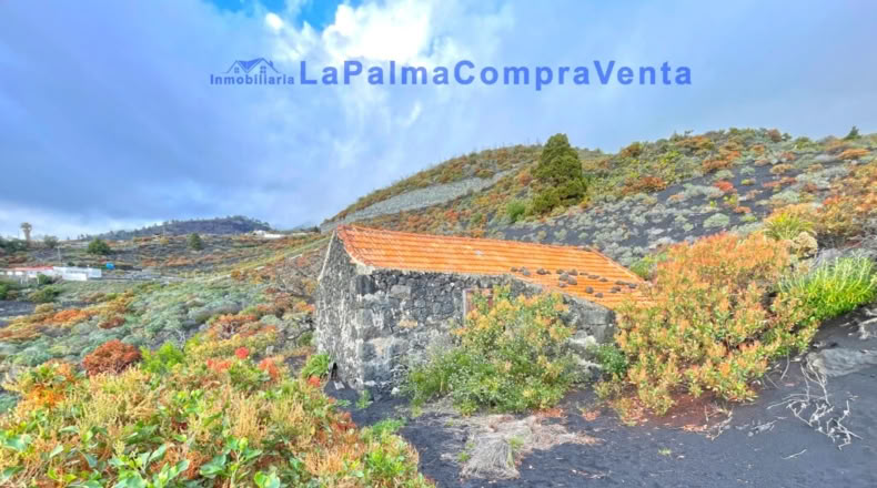 Santa Cruz de Tenerife - Los Llanos de Aridane - 16624m2