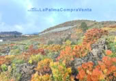 Casa de pueblo en venta en Los Llanos de Aridane ref: TR233363 foto